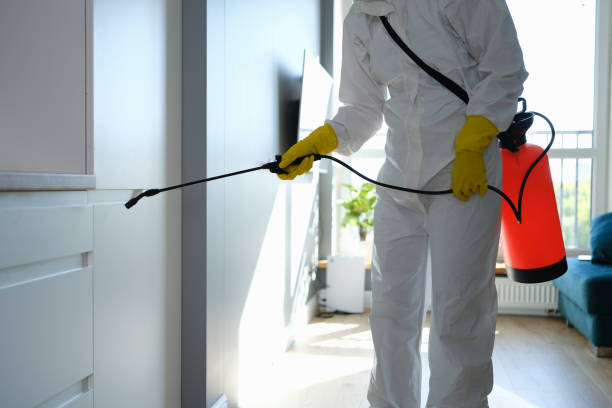 Best Mold Remediation Experts  in Four Corners, MD