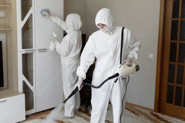 Mold Removal Process in Four Corners, MD