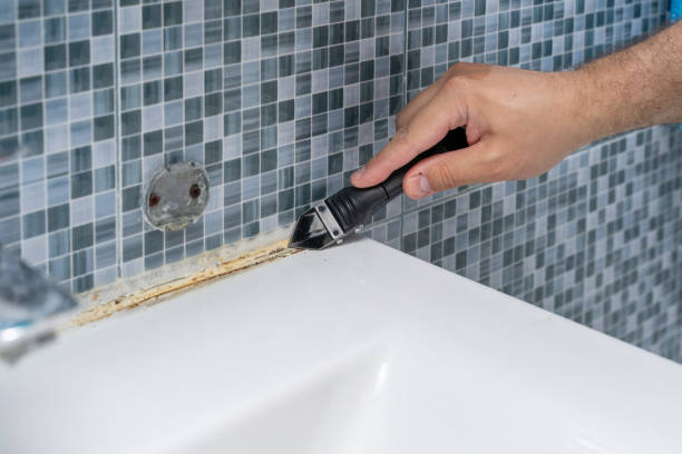 Best Commercial Mold Removal  in Four Corners, MD