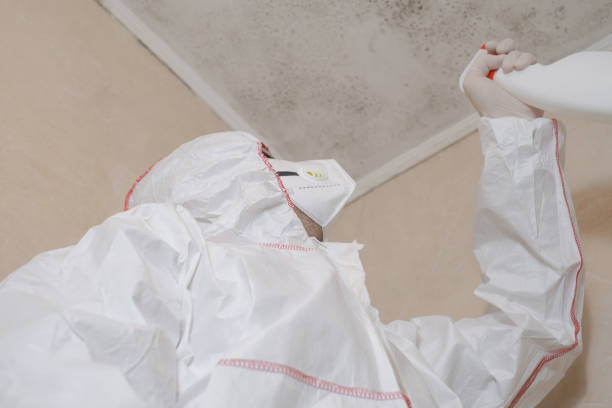 Best Certified Mold Removal  in Four Corners, MD
