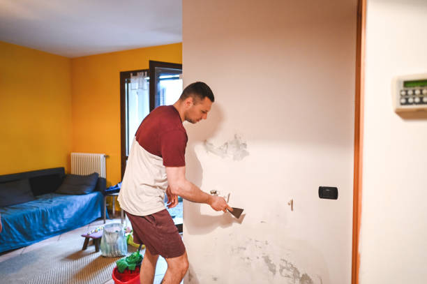 Best Mold Damage Repair  in Four Corners, MD